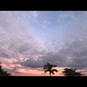 Meet your Posher, Genesis